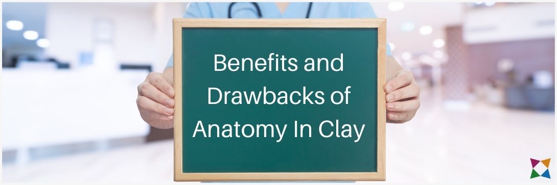 anatomy-in-clay-benefits-drawbacks